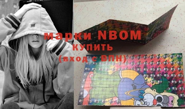винт Инта