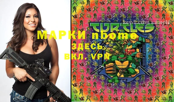 винт Инта