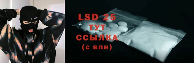 винт Инта