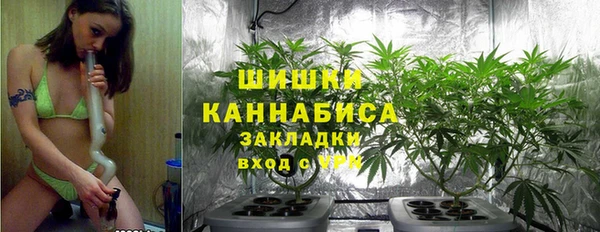 винт Инта