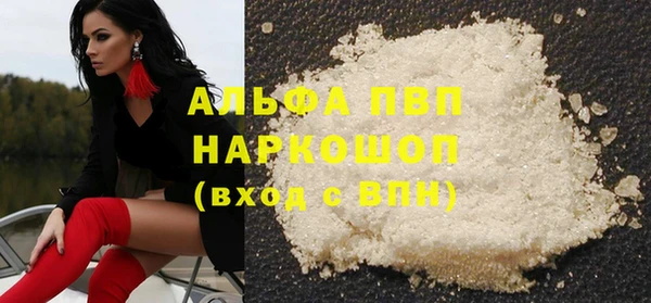 винт Инта