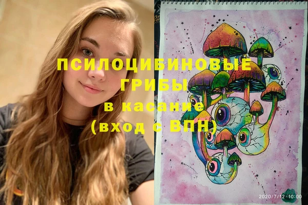 винт Инта