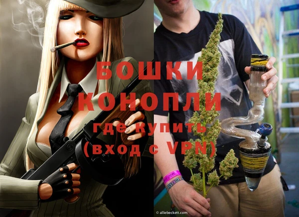 винт Инта
