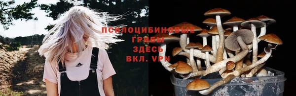 винт Инта