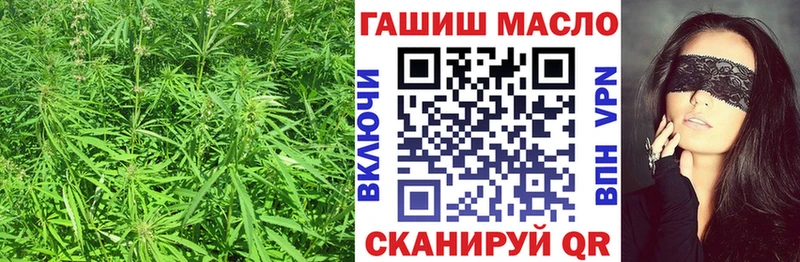 Купить где  Инсар  ТГК концентрат 